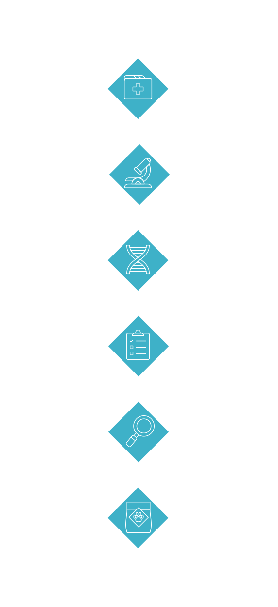 Check Sources, Ingredient Tests, In-Process Analysis, Batch Monitoring, Evaluate Packaging, Assess Finished Product