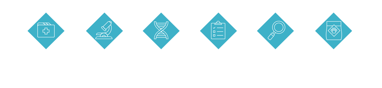 Check Sources, Ingredient Tests, In-Process Analysis, Batch Monitoring, Evaluate Packaging, Assess Finished Product