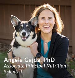 Angela Gajda, PhD, Associate Principal Nutrition Scientist