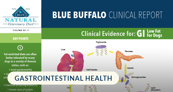 BlueBuffalo_NVD_ClinicalReport_GI-LowFatForDogs