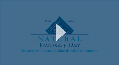 BlueBuffalo_CE_ThinkingAboutNutrition_VideoThumbnail