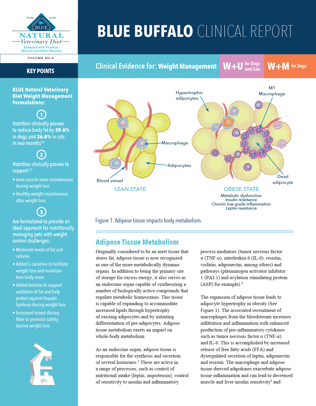 BLUE-NVD-Weight-Management-Clinical-Report