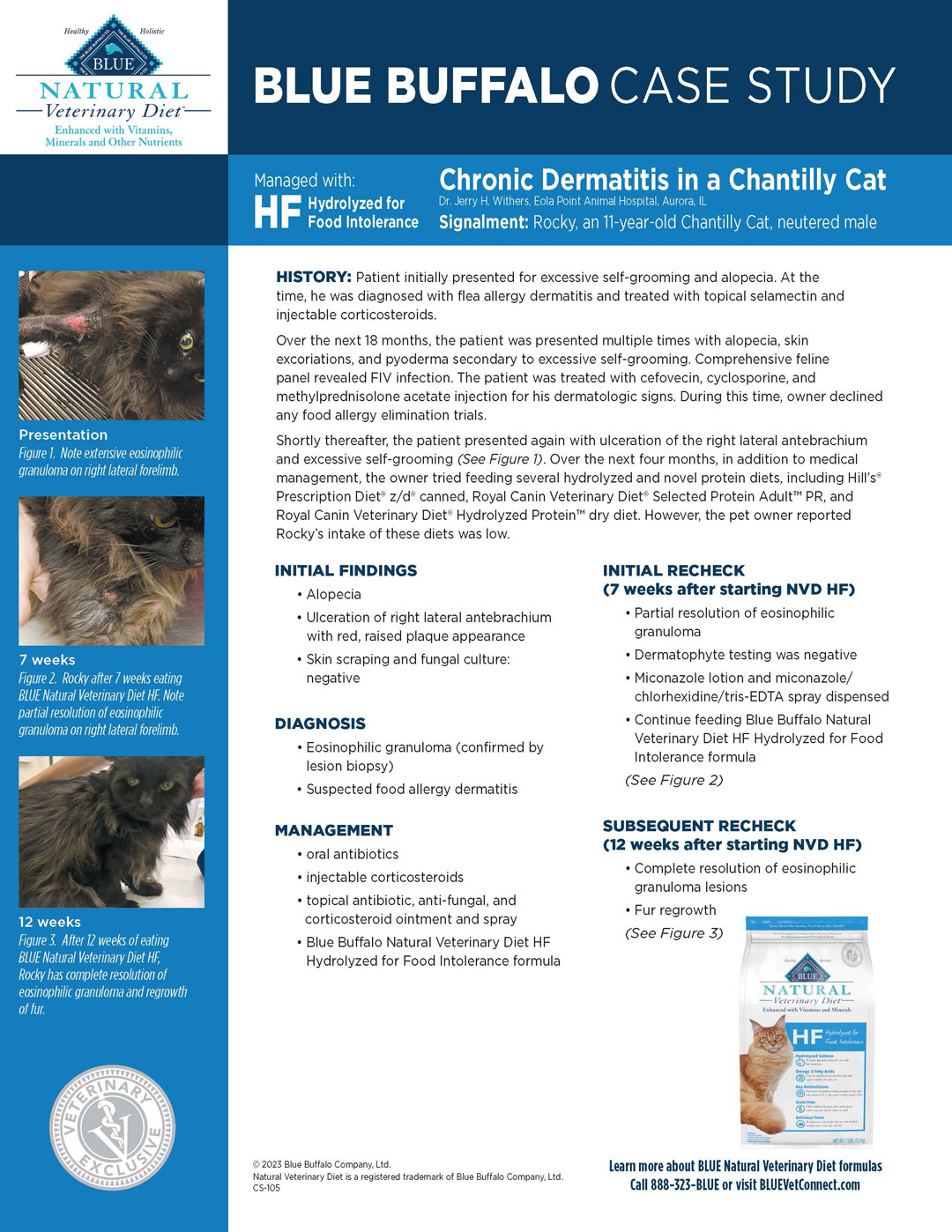 CaseStudy_ChantillyCat