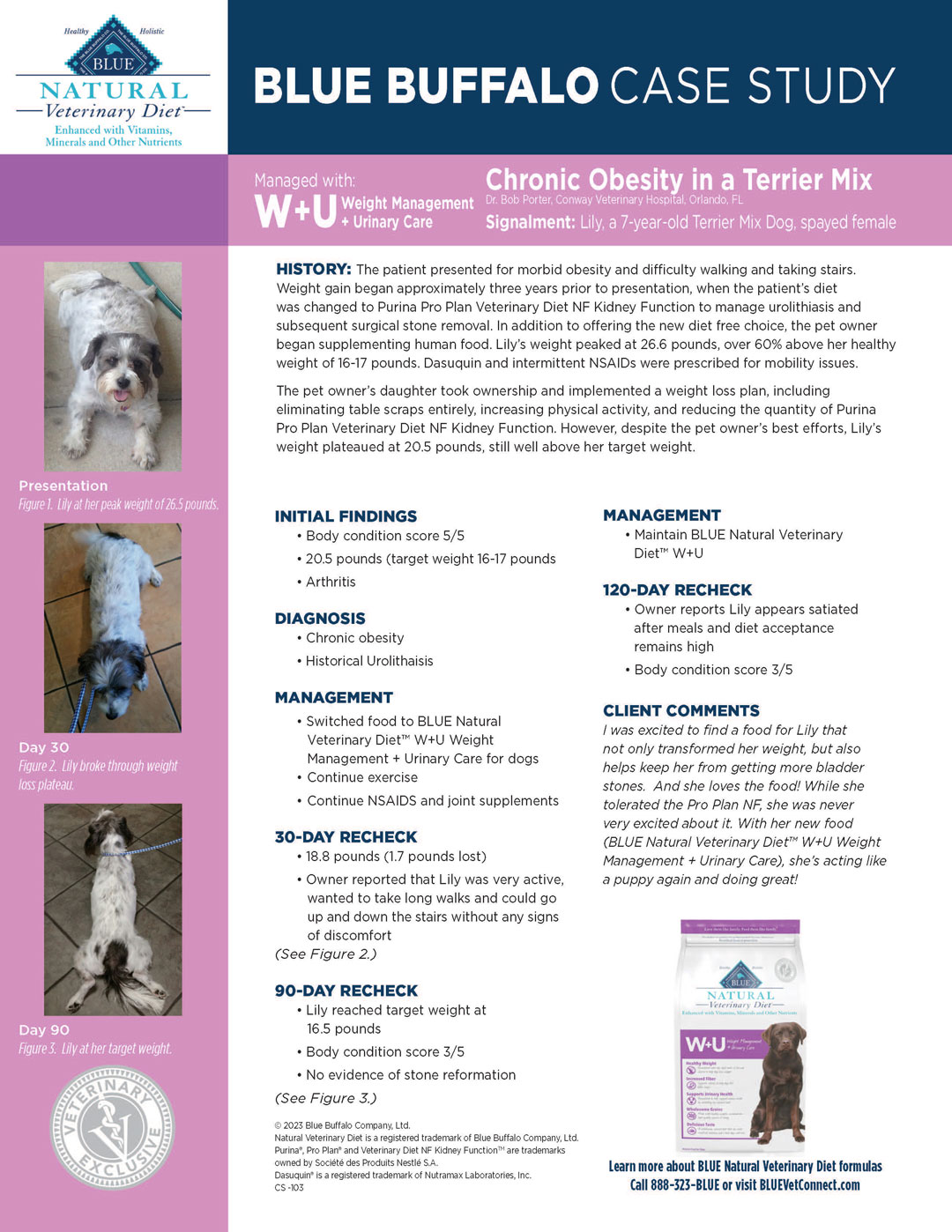 CaseStudy_TerrierMix