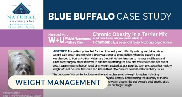 Case Study on Chronic Obesity in a Terrier Mix