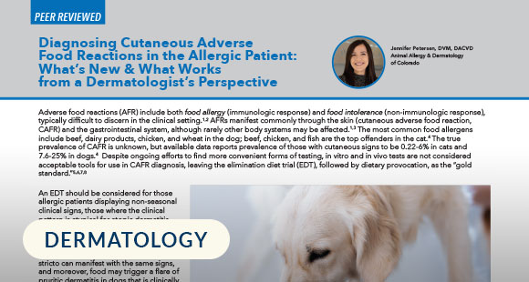 Diagnosing-Cutaneous-Adverse-Food-Reactions-in-the-Allergic-Patient