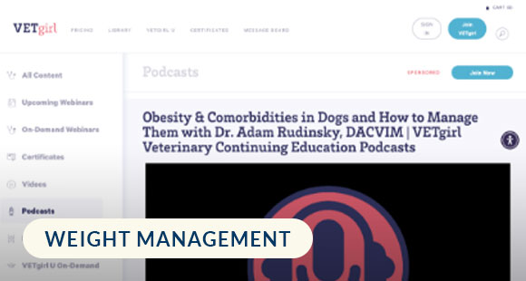 BlueVetConnect_EducationalResources_Obesity&ComorbiditiesInDogs_Thumbnail