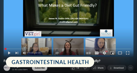 BlueVetConnect_EducationalResources_WhatMakesADietGutFriendly_Thumbnail