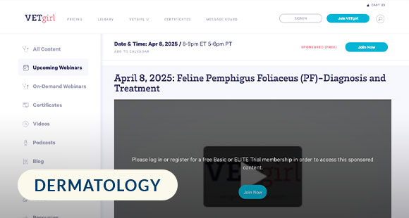 FelinePemphigusFoliaceus_Thumbnail