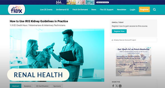 HowToUseIRISKidneyGuidelinesInPractice