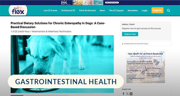 PracticalDietarySolutionForChronicEnteropathyInDogs